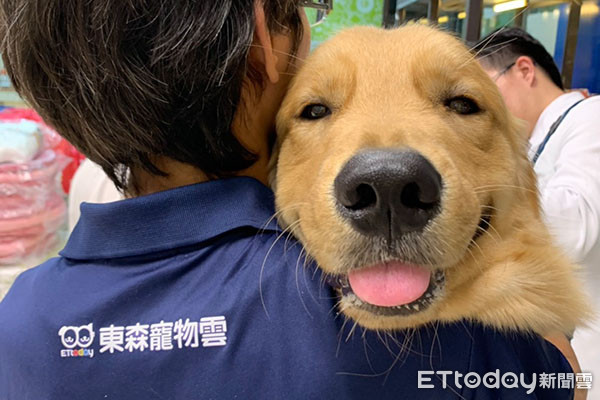 用棉花棒幫狗清耳朵超危險 謝佩珍獸醫師 只能清一半還造成耳炎 Ettoday寵物雲 Ettoday新聞雲