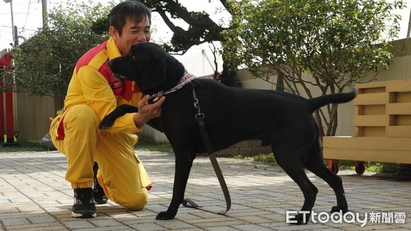 ▲▼高雄市消防局退役搜救犬。（圖／記者許宥孺攝）