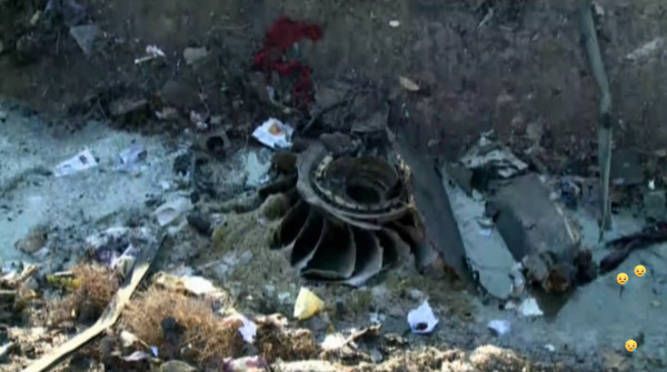 ▲現場直擊！烏克蘭客機墜毀「焦黑殘骸四散」　170人全罹難。（圖／AP直播畫面）