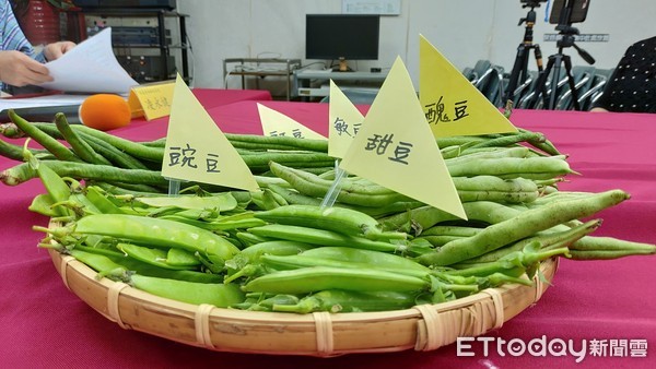 豆菜類稽查。（圖／消基會提供）