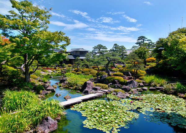 ▲春限定日本粉色天空！直飛山陰鳥取櫻花季▼             。（圖／七逗旅遊網提供）