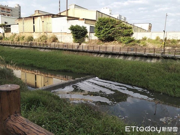 ▲死魚從成功路下游綿延1公里。（圖／吳進昌提供）