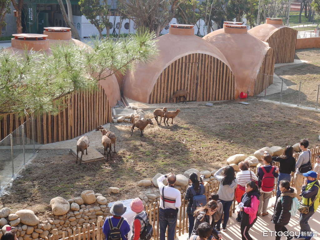 ▲新竹市立動物園,新竹動物園,河馬樂樂,雙胞胎老虎六福,來福,馬來熊,森林食堂。（圖／記者彭懷玉攝）