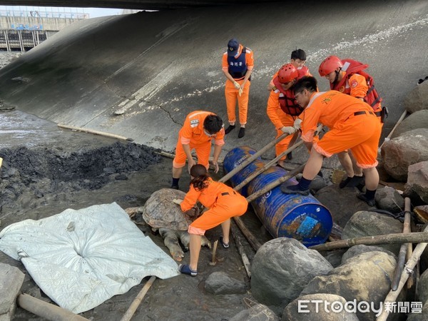 ▲彰化安檢所在漢寶海域發現一隻死亡多時的赤蠵龜。（圖／海巡署第3岸巡隊提供）