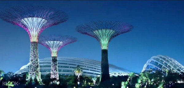 ▲▼新加坡必遊景點：濱海灣花園、S.E.A.海洋館。（圖／KLOOK授權提供）
