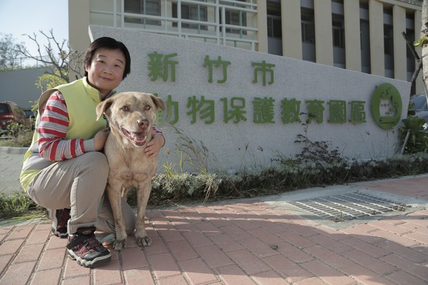 ▲來參加毛孩入厝趴！竹市動保教育園區啟用　歡迎浪浪回娘家。（圖／新竹市政府提供）