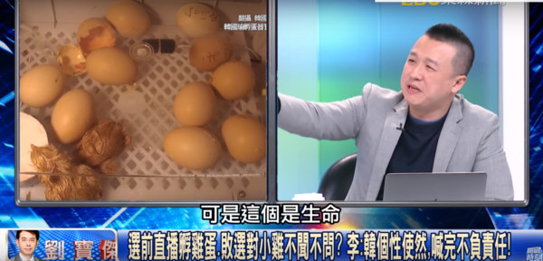 ▲▼李正皓指出，韓國瑜敷蛋的雞還養在國民黨部。（圖／翻攝自關鍵時刻YouTube）