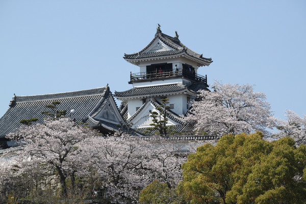 ▲▼日本高知城。（圖／華信航空提供）