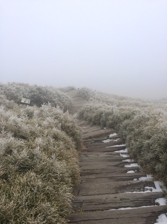 ▲▼合歡山上景物披上一層白色的霧淞。（圖翻攝自Facebook／太魯閣國家公園）
