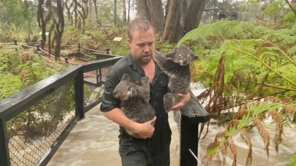 （圖／翻攝自Facebook／Australian Reptile Park）