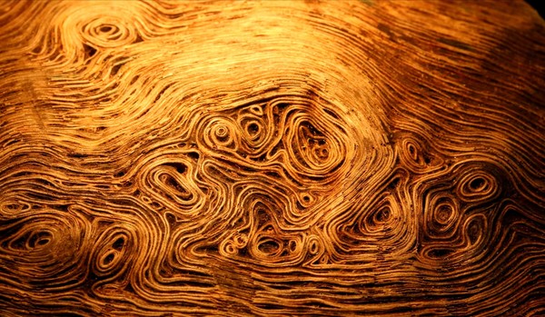 ▲▼日本網友買的木柴上竟有如梵谷名畫一般美麗的年輪。（圖／翻攝自推特／@ puchuco709）