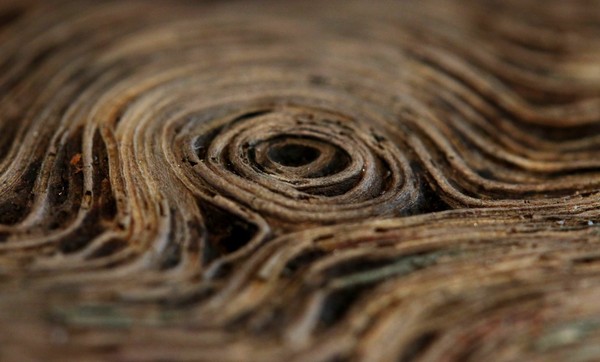 ▲▼日本網友買的木柴上竟有如梵谷名畫一般美麗的年輪。（圖／翻攝自推特／@ puchuco709）