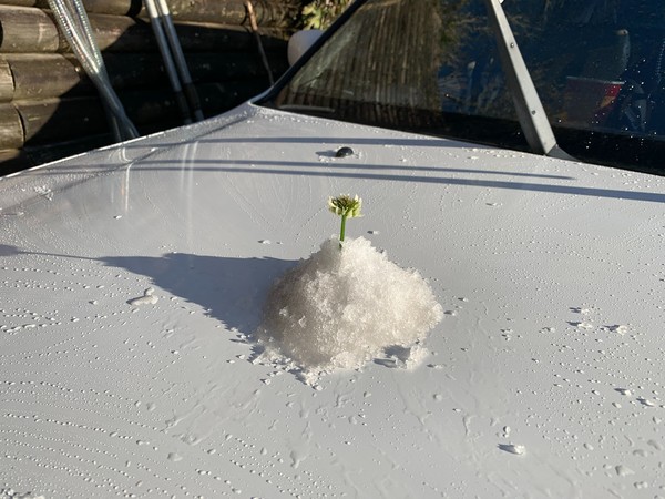 ▲▼寒流來襲，太平山森林遊樂區結薄霜。（圖／羅東林管處提供，下同）