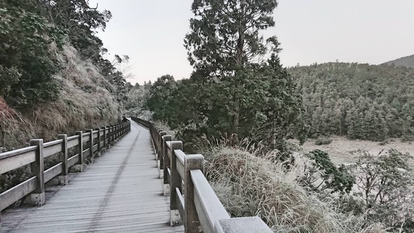▲宜蘭太平山森林遊樂區零下2度結霜，宛若「夢幻銀白仙境」。（圖／羅東林管處提供）