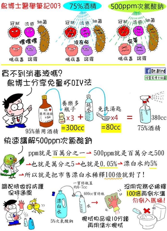 ▲▼             。（圖／翻攝自鳥博士粉絲團）