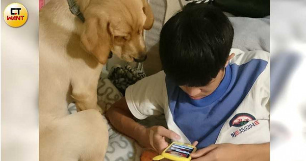 雖然相處時間有限，陳碧文一家仍把小導盲犬當成寶貝，捧在手心上疼愛照顧。（圖／讀者提供）