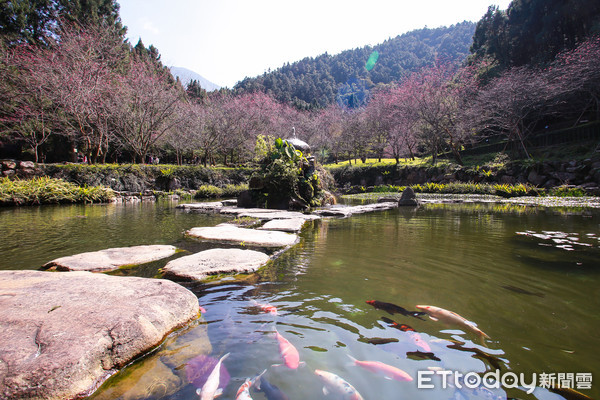 ▲▼九族文化村攜帶寵物入園報導。（圖／記者周宸亘攝）