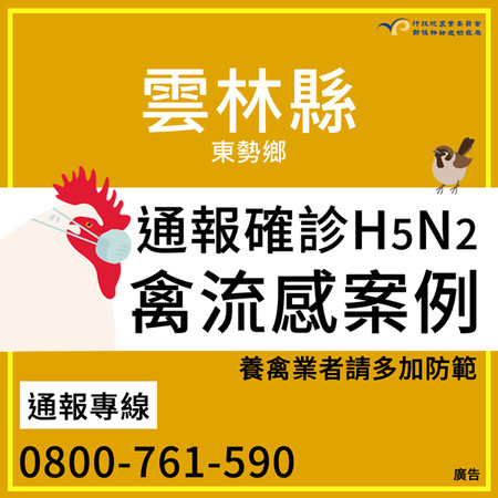 ▲▼雲林縣東勢鄉1黑羽土雞場確診為H5N2亞型高病原性禽流感。（圖／防檢局提供）