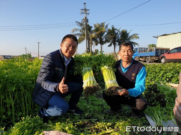 ▲屏東縣新園鄉農友郭坤朗種了30年的芹菜管，對它特別有感情            。（圖／記者陳崑福翻攝）