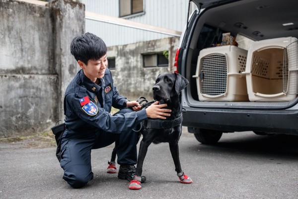 女性領犬員莊又頲　優異體能奠定訓練基礎