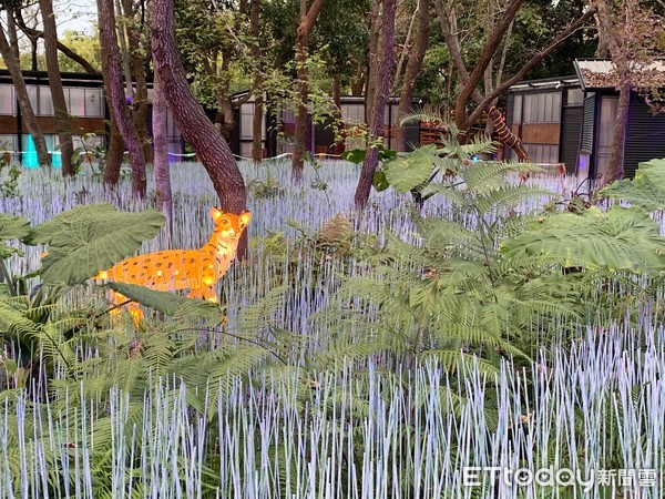 ▲▼2020台灣燈會。（圖／記者李宜秦攝）