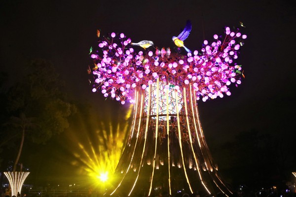 ▲2020台灣燈會主燈「森生守護-光之樹」璀璨試燈            。（圖／台中市政府提供）