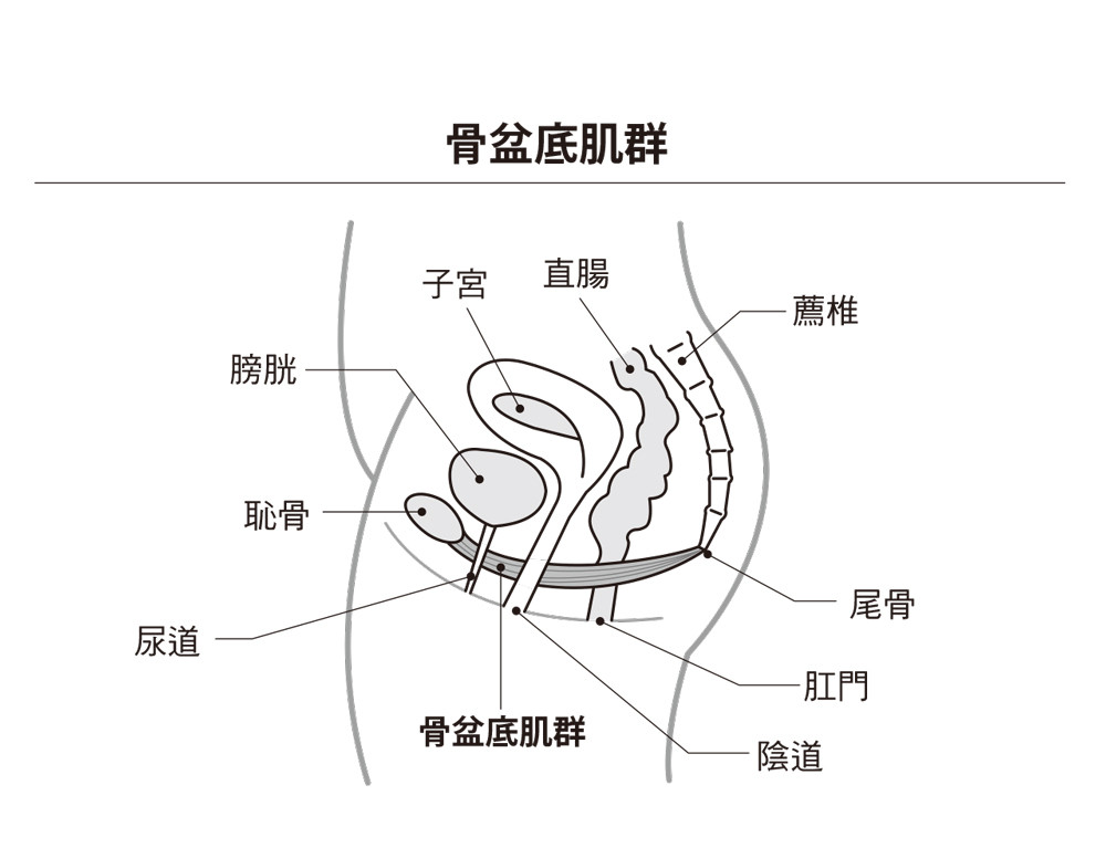 ▲▼書籍《終結漏尿的鍛鍊法》。（圖／台灣東販提供，請勿隨意翻拍，以免侵權。）