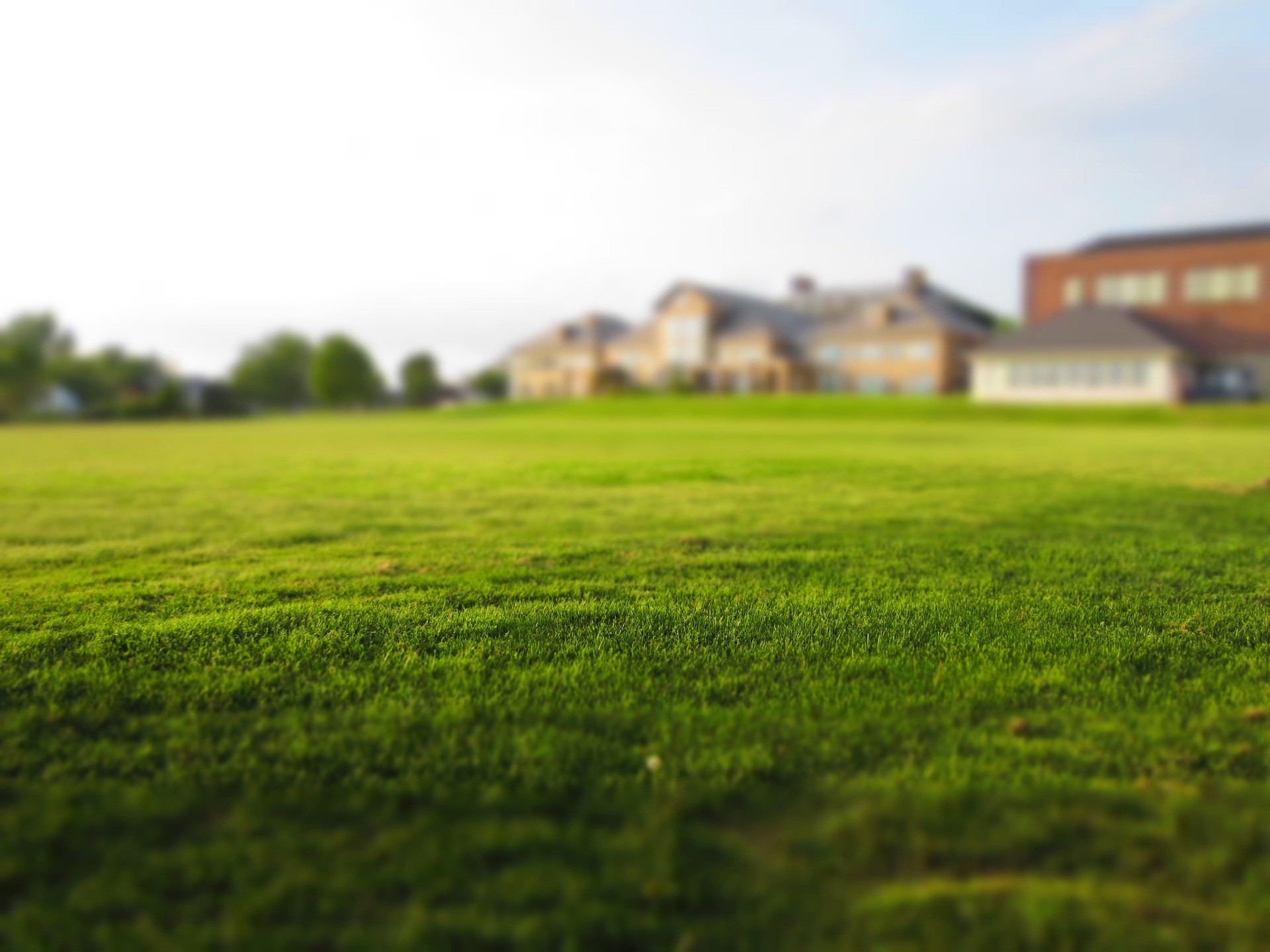 ▲▼ 庭院,草坪,後院。（圖／取自免費圖庫pixabay）