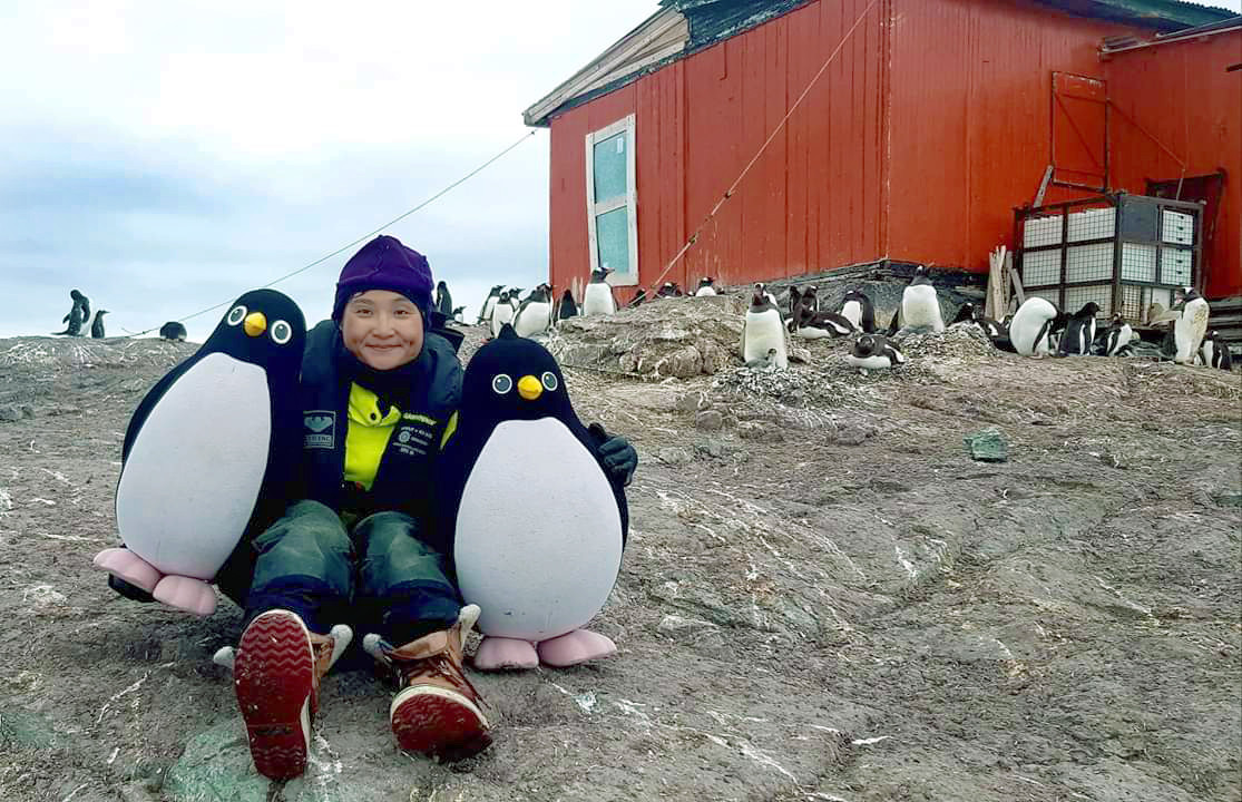 ▲▼ 南極企鵝。（圖／綠色和平提供）