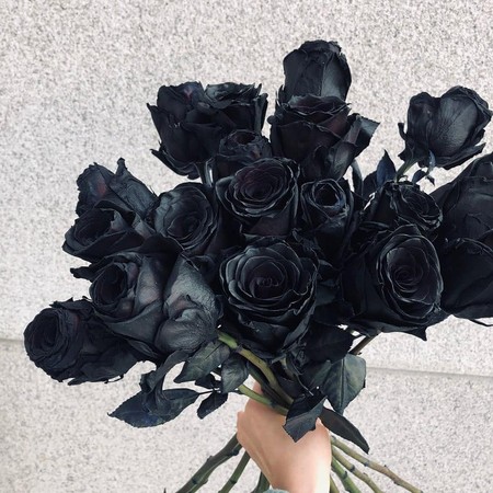 ▲▼ 韓國掀起用「黑玫瑰」示愛風潮！絨感質地、神秘又奢華，代表：「你永遠屬於我」。（圖／Bella儂儂提供）