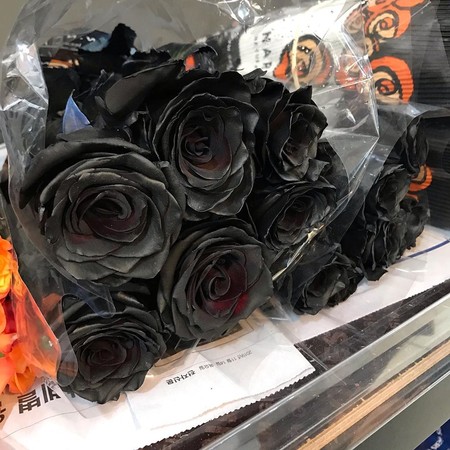 ▲▼ 韓國掀起用「黑玫瑰」示愛風潮！絨感質地、神秘又奢華，代表：「你永遠屬於我」。（圖／Bella儂儂提供）