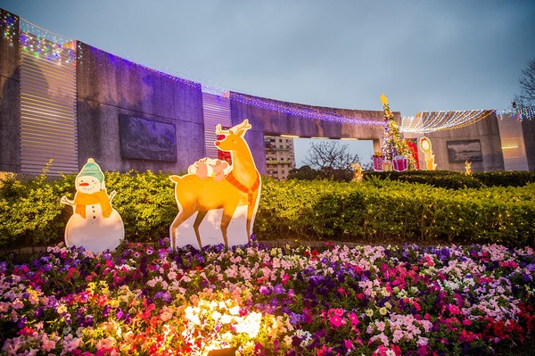 ▲ 嘉義各大公園花海美景。（圖／記者翁伊森翻攝）