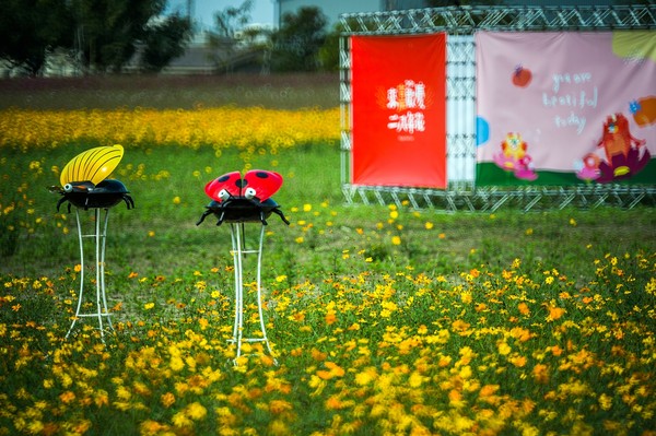 ▲ 嘉義各大公園花海美景。（圖／記者翁伊森翻攝）