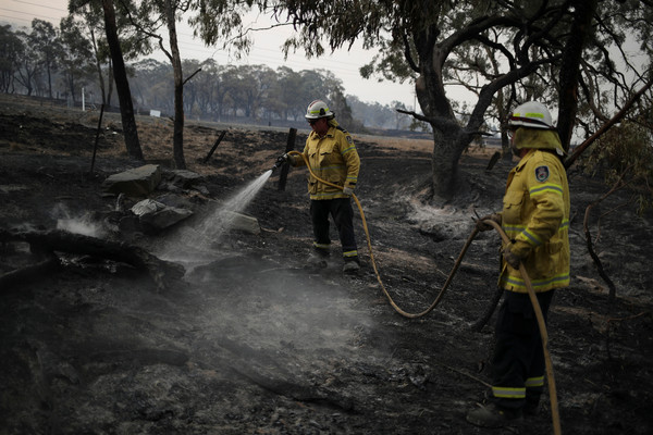 ▲▼澳洲新南威爾斯，消防員在野火焚燒過後的悶燒區域持續灑水降溫。（圖／路透）