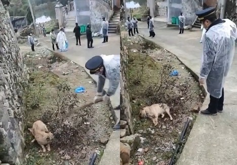 ▲浙江永嘉屠狗。（圖／翻攝自嗑基風光大賞微博）