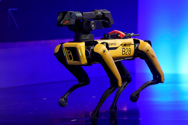 ▲▼機器犬,機器犬,波士頓動力公司,Boston Dynamics。（圖／路透社）