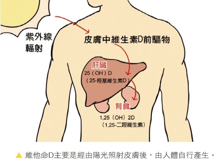 名醫鑽研10年「維他命D」：很多人錯怪它了。（圖／采實文化提供）