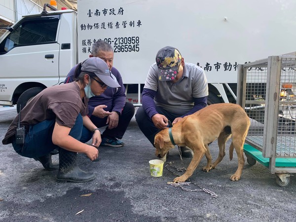 浪浪升格園長！見家憂愁臉變燦笑。（圖／翻攝自Facebook／臺南山上花園水道博物館）