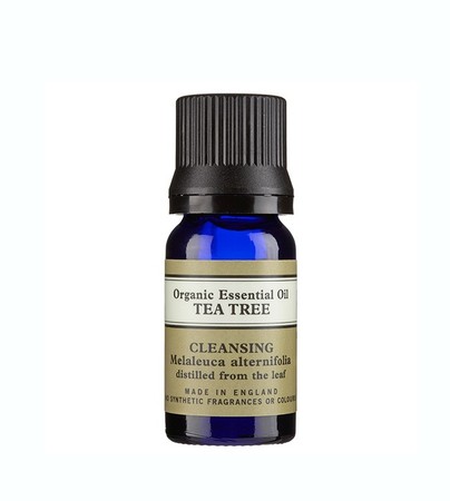 ▲茶樹精油幫助防疫抗菌的7大用法 。（圖／翻攝免費圖庫、品牌提供）