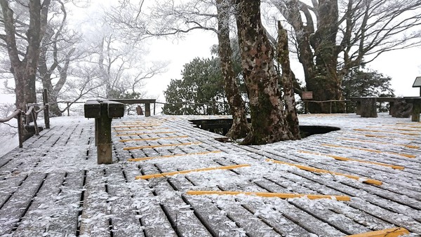 ▲▼全台急凍冷吱吱，霧淞、結霜讓18日宜蘭太平山如北國夢幻銀白仙境。（圖／羅東林管處提供，下同）