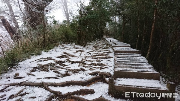 ▲▼太平山山毛櫸步道出現霧淞。（圖／羅東林管處提供）