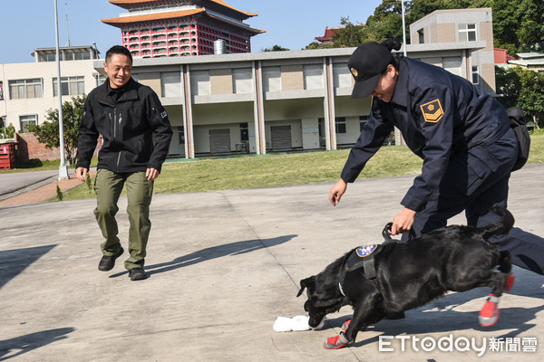 ▲士林憲兵隊緝毒犬組動態展示。（圖／記者林敬旻攝）