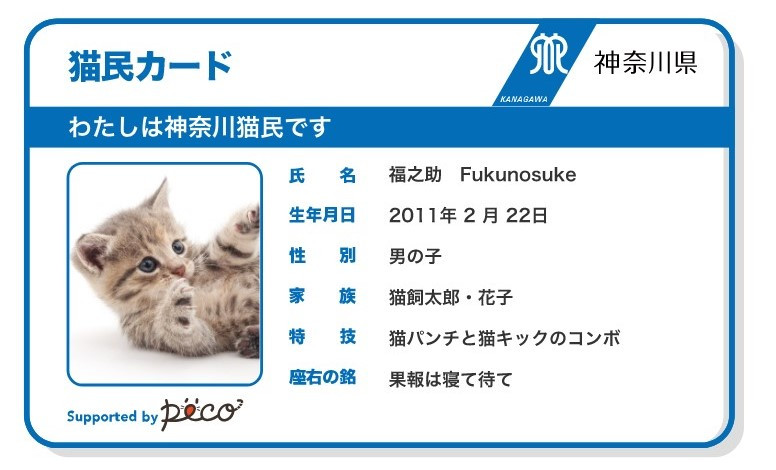 神奈川線寵物身分證（圖／翻攝自https://microchip.peco-japan.com/）