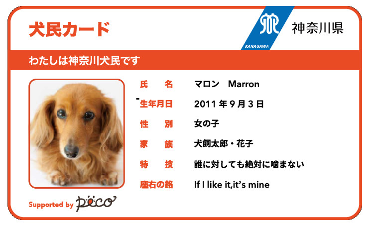 神奈川線寵物身分證（圖／翻攝自https://microchip.peco-japan.com/）