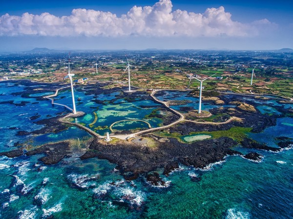 ▲韓國海島賞花看海超療癒！來濟州島、梧桐島放空吧▼             。（圖／七逗旅遊網提供）