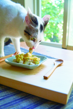 ▲▼ 布克文化《好味小姐的日常貓鮮食料理：簡單、快速、便宜、方便，輕鬆做出營養均衡貓鮮食正餐！》