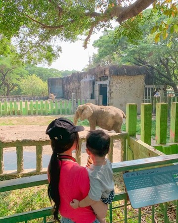 ▲▼特搜全台動物園。（圖／ReadyGo）