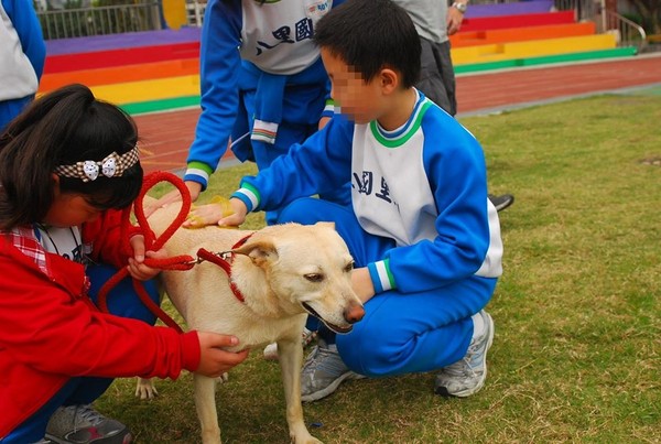 ▲▼八里國小人氣校犬黃玉枝失蹤了，師生不捨高喊快回家。（圖／翻攝自黃玉枝粉絲團）