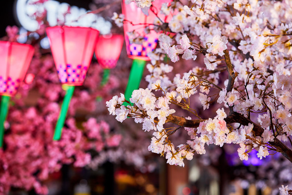 ▲三井打造紫藤花與櫻花花景。（圖／三井提供）