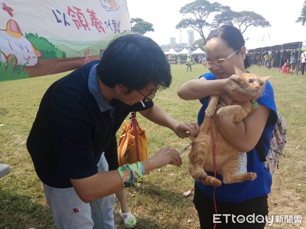 ▲嘉義山區鼬獾咬人檢出狂犬病 家畜所呼籲家犬貓應施打疫苗。（圖／嘉義縣政府提供）